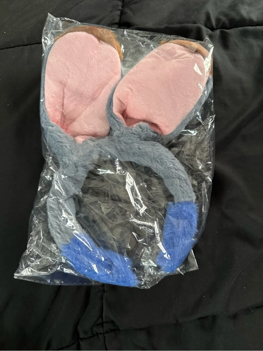 Judy Ears